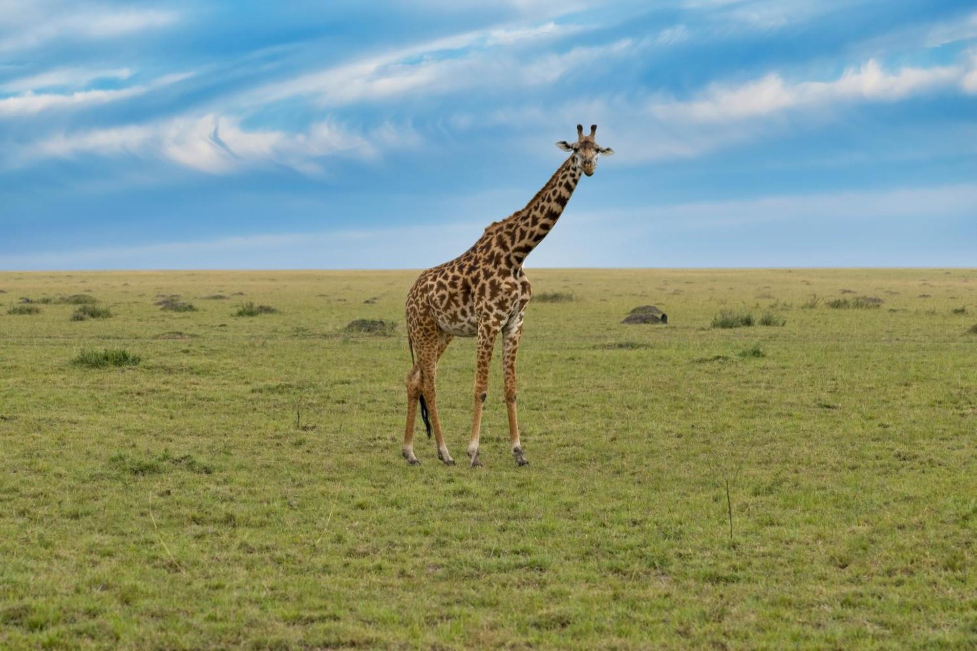 Muthu Keekorok Lodge, Maasai Mara, Narok Exterior foto