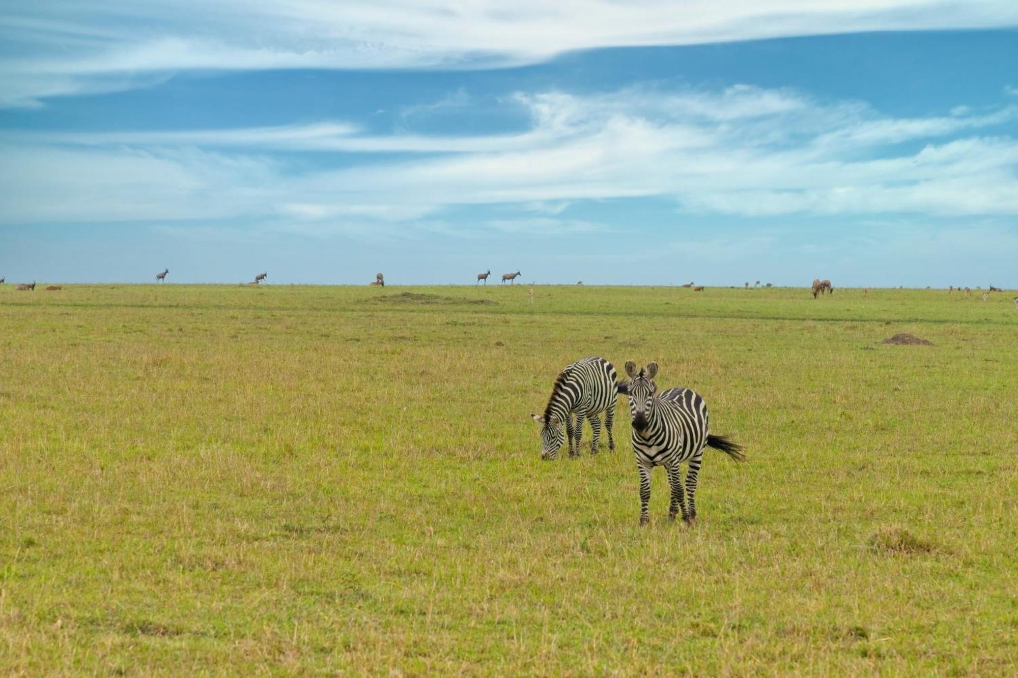 Muthu Keekorok Lodge, Maasai Mara, Narok Exterior foto